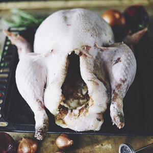 Christmas Tomboy Turkey - Image 4
