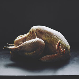 Easter Tomboy Turkey - Image 3