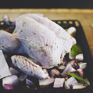 Easter Tomboy Turkey - Image 4